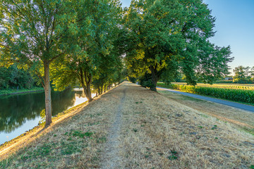 Parched meadows near the Schifffahrtskanal (canal for ships) in Duisburg