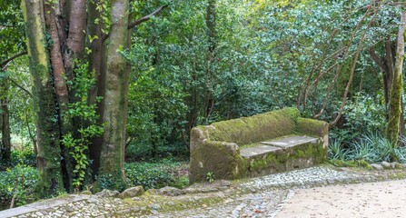 A stone bench covered with moss in the forest, Sintra, Portugal