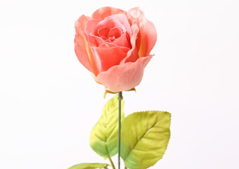 Obraz premium Orange colorful textile rose closeup