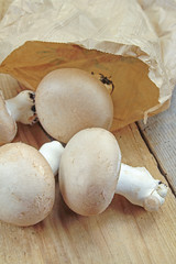 plusieurs champignons brun de Paris crus