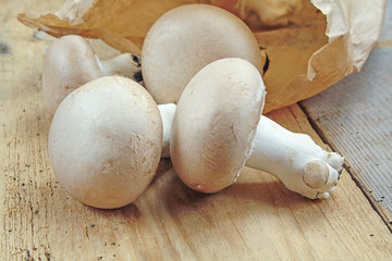 plusieurs champignons brun de Paris crus