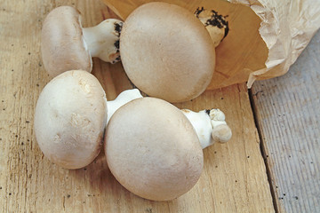 plusieurs champignons brun de Paris crus