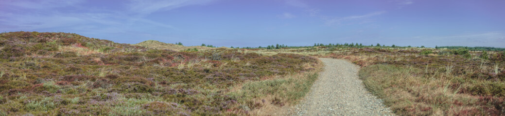 Dünen und Sandweg Panorama in Dänemark.