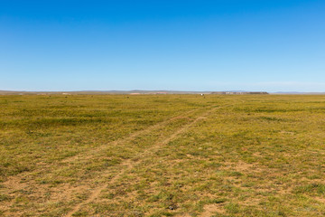 Fototapeta na wymiar Mongolian steppe, road in the field, Mongolian steppe with green grass beautiful landscape. Mongolia