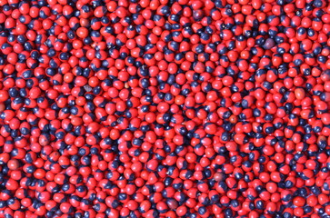 Small red beans background