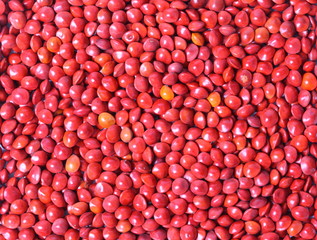 Small red beans