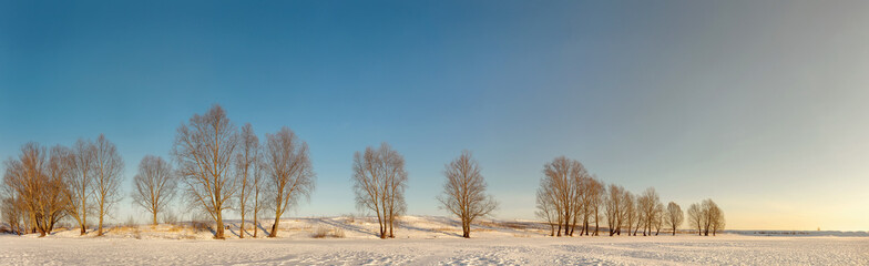 Fototapeta premium Winter beautiful landscape with trees covered with hoarfrost