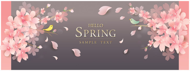 エレガントな春の花　桜のベクターイラスト　Luxury　spring cherry blossom　vector illustration　background