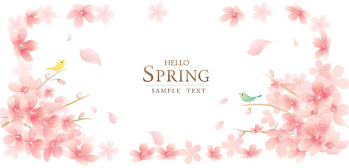 春の花　桜のベクターイラスト　spring flowers　vector illustration　background - obrazy, fototapety, plakaty