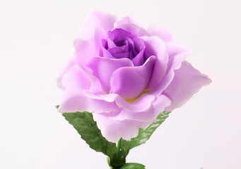 Artificial violet roses on white background
