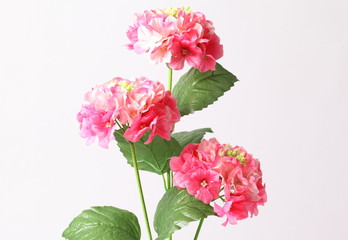 Decoration artificial pink flower on white background.