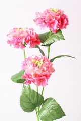 Decoration artificial pink flower on white background.