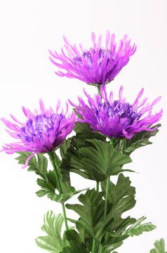 Decorative artificial purple flower on white background.
