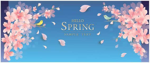 春の花　桜のベクターイラスト　spring cherry blossom　vector illustration　background © marumaru