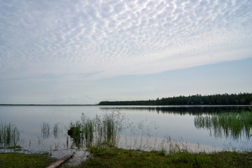 calm forest lake in the north