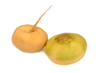 Yellow salad radish isolated on a white background