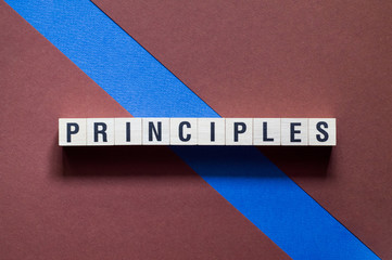 Principles word concept on cubes