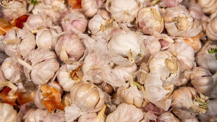 fresh garlic at the supermarket kiosk. Fresh garlic on display in the grocery store. garlic on the shelves in the usual market.