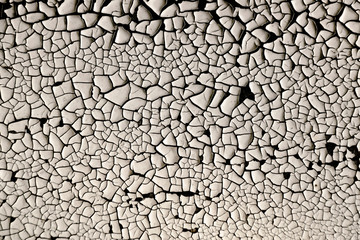 the old white paint was cracked textura
