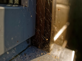 web in the corner of a window in summer, Russia