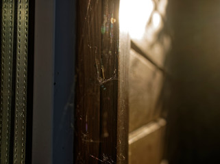 web in the corner of a window in summer, Russia