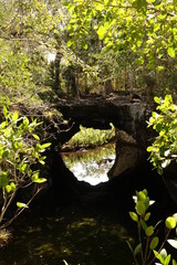 A natural rock arch bridge over a stream in a Cuban marshland
