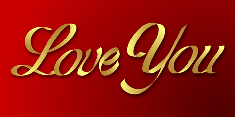 love you hand drawn lettering phrase illustration