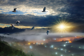 Fototapeta na wymiar Foggy morning in the mountains with flying birds over silhouettes of hills