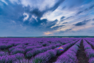 Fototapeta na wymiar Beautiful dramatic stormy sky over a field of lavender with a rainbow scarf and wind turbines, Gorun, Bulgaria