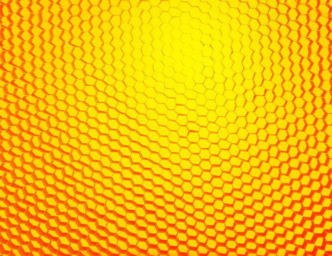 Honey Comb Background _ Image