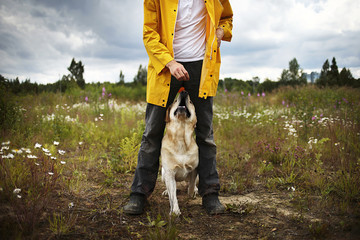 Man with snack teaching dog in field