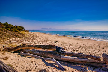 Donoratico beach San Vincenzo Tuscany Italy