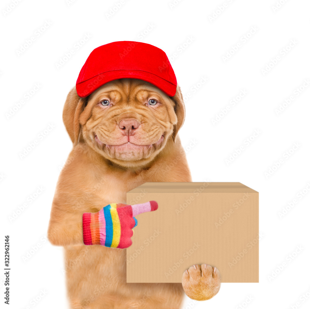 Poster Smiling puppy wearing a red cap points on big box. Delivery concept. Isolated on white background