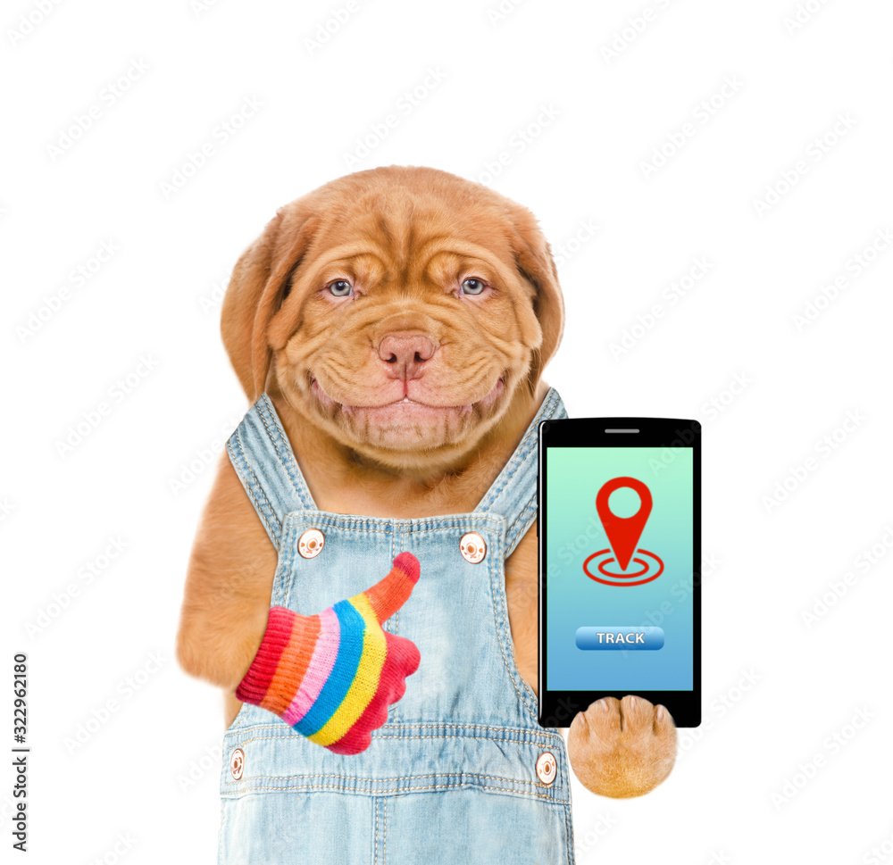 Aufkleber smiling puppy wearing overalls holds smartphone with tracking symbol and shows thumbs up. tracking c
