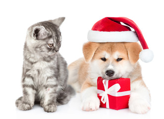 Cat and Akita inu puppy wearing a red christmas hat sit together with gift box. isolated on white background