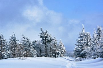 Walking trail buried under snow in the Jizera Mountains in Poland..