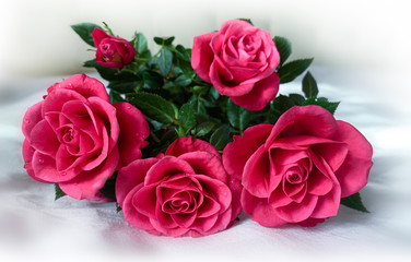 Roses on a white background. Bouquet of pink roses on a blnom background, blur background.