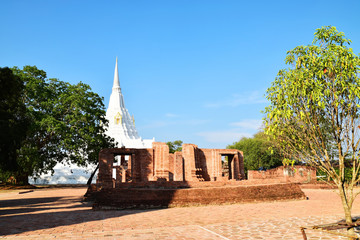 Wat Phu Khao Thong, Ayutthaya, Thailand