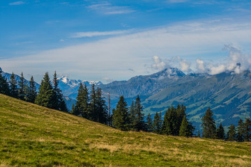 Beautiful swiss alps mountains. Alpine meadows.