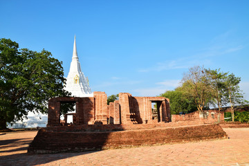 Wat Phu Khao Thong, Ayutthaya,  Thailand