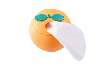 Toilet paper box in orange fruit shape -  top view