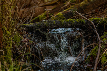 mini Wasserfall