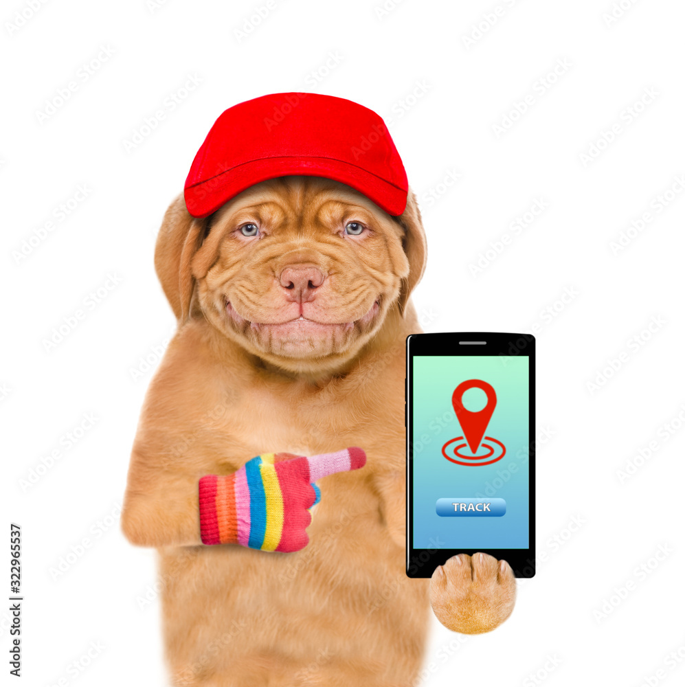 Poster Smiling puppy wearing a red cap  points on smartphone with tracking symbol. Tracking concept. Isolated on white background