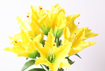 Yellow lily artificial flowers on white background.