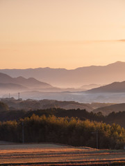 Obraz premium 朝靄