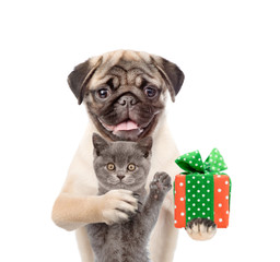 Pug puppy hugs kitten and holds gift box. isolated on white background