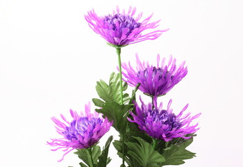 Decorative artificial purple flower on white background.