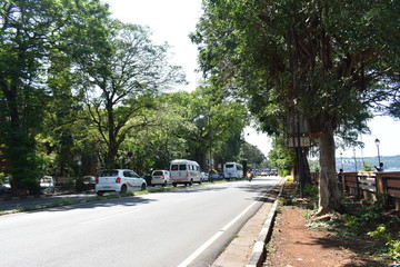 a busy road with normal traffic in goa with tress beside