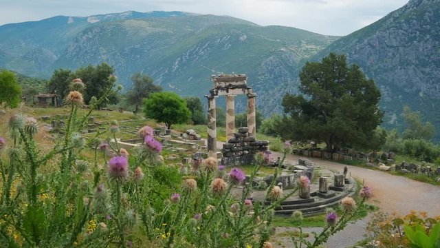 Tholos with Doric columns at the sanctuary of Athena Pronoia temple ruins in ancient Delphi, Greece. Horizontal camera pan. View from mediterranean blooming flower meadow
