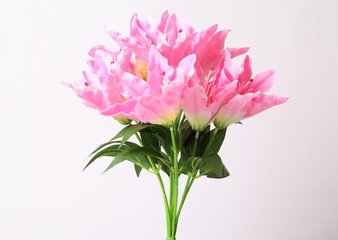 Pink lily artificial flowers on white background